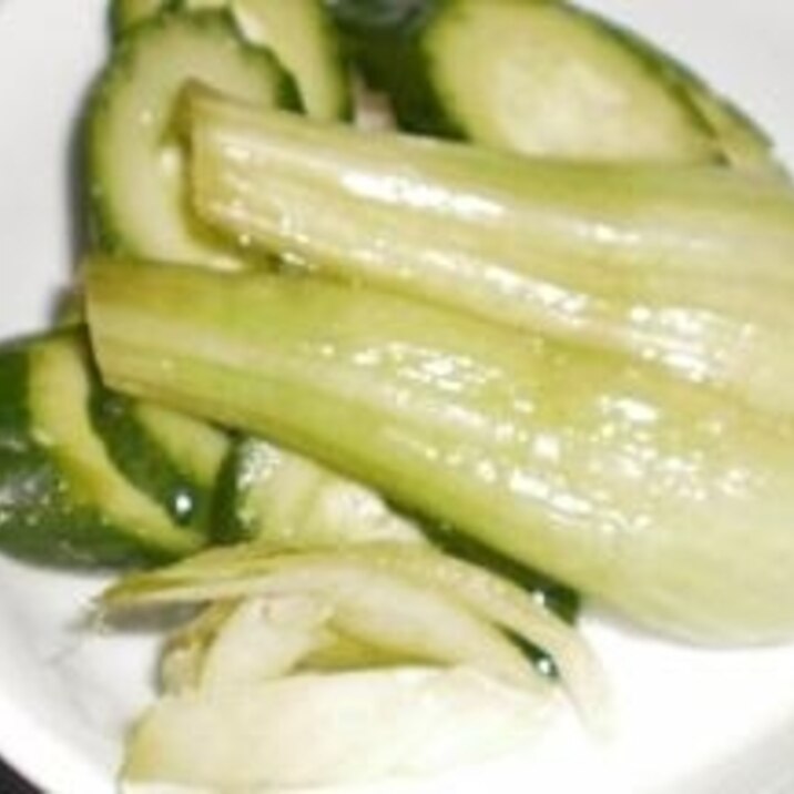 青梗菜のどぼ漬け